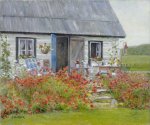 les-coquelicots