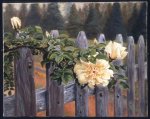 Vermont Rose