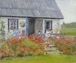 les-coquelicots