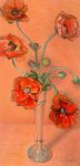 Poppies