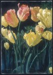Tulipes jaunes *